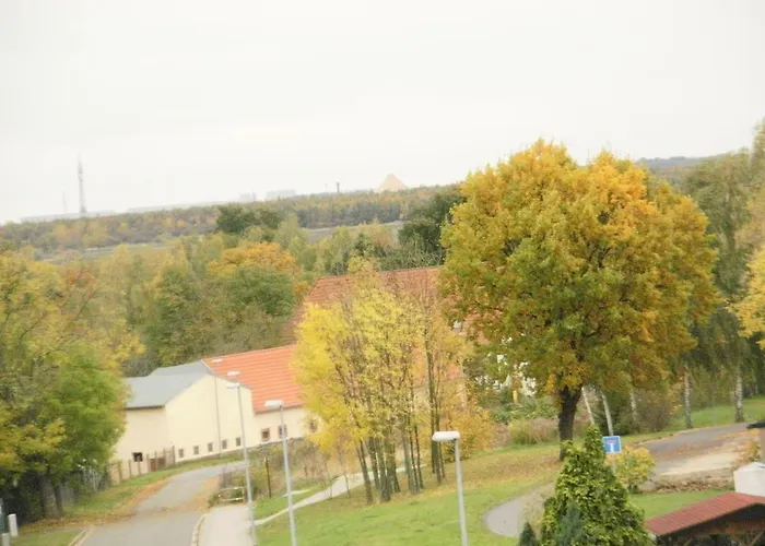 Zierold *